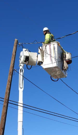 Pole Planting Installation Tobago